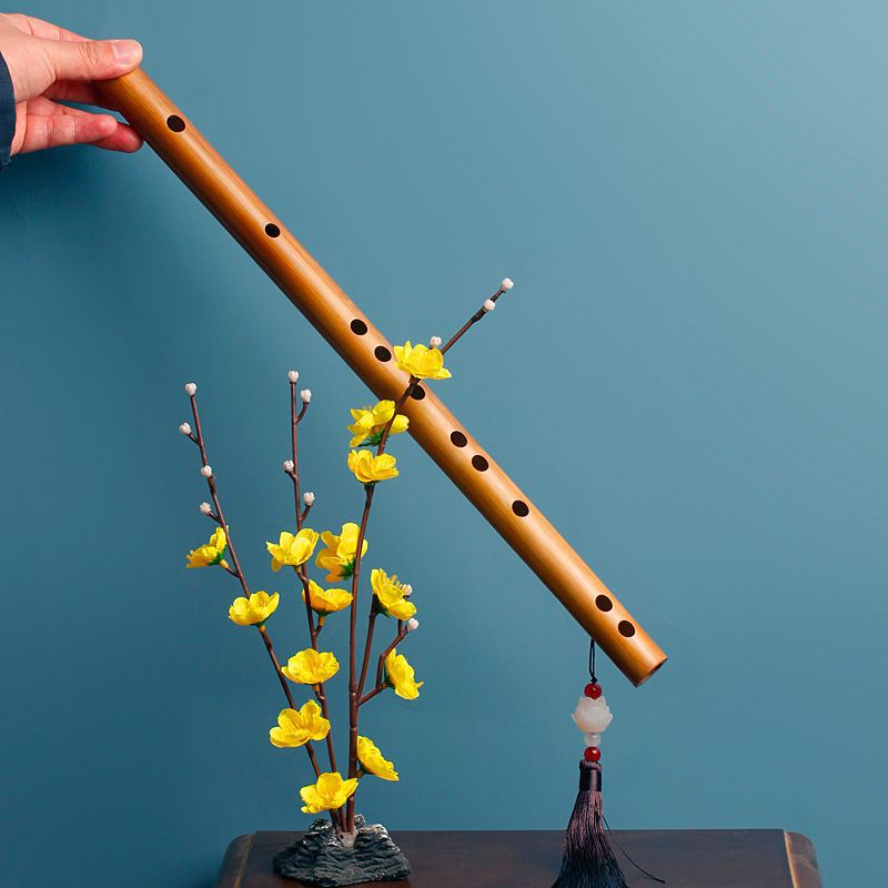 대나무 플루트 전통 전문가용 가로 플루트 초보자 성인용 - Musical Instrument Fife 리뷰 및 가격
