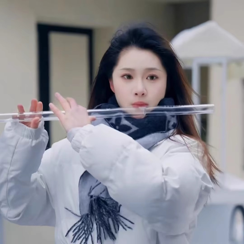 투명 플루트 전문가용 가로형 플루트 성인 초보자용 피프 - Musical Instrument Fife 리뷰 및 가격