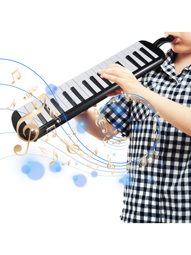 가방이 있는 멜로디카 악기, 멜로디카 에어 피아노 키보 - Musical Instrument Melodica 리뷰 및 가격