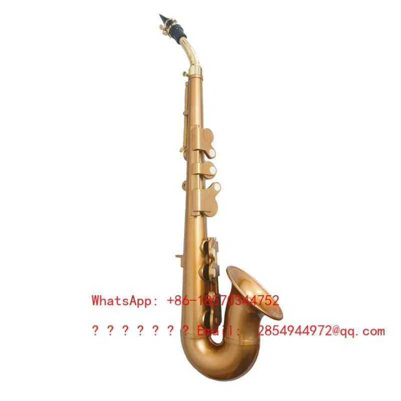 레진 색소폰 악기 B♭ F중음계 성인용 가볍고 배우기  - Musical Instrument Easy To Learn 리뷰 및 가격