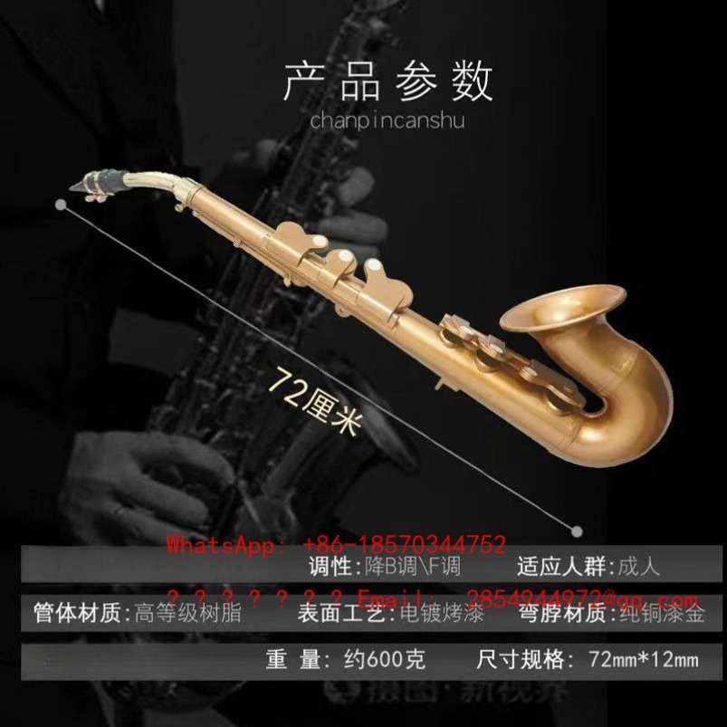 레진 색소폰 악기 B♭ F중음계 성인용 가볍고 배우기  - Musical Instrument Easy To Learn 리뷰 및 가격