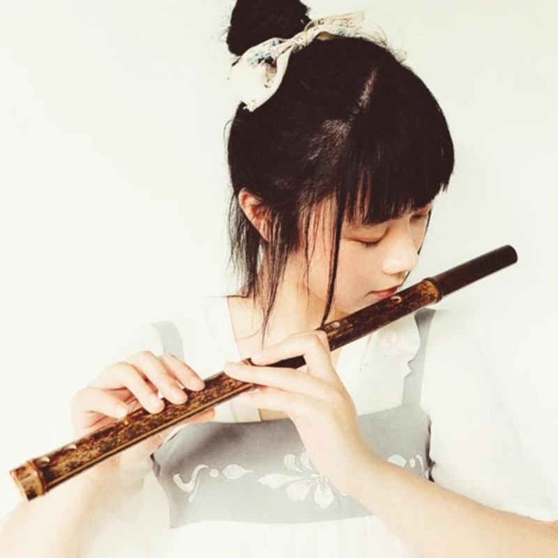 보라색 대나무 피리 전문 연주 가로 피리 초보자 어린이 - Musical Instrument Fife 리뷰 및 가격