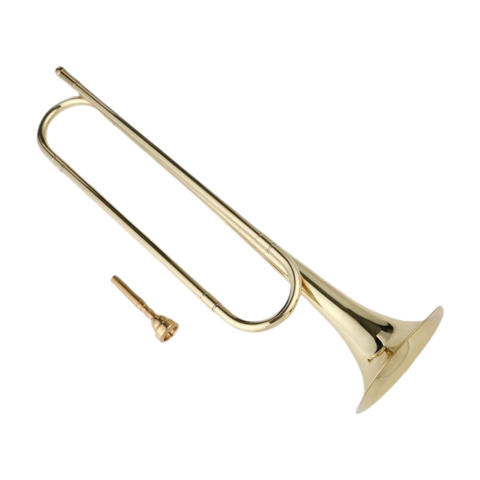 B 플랫 버글, 영 팀 버글, 클래식 전문 휴대용 악기 - Musical Instrument Bugle 리뷰 및 가격