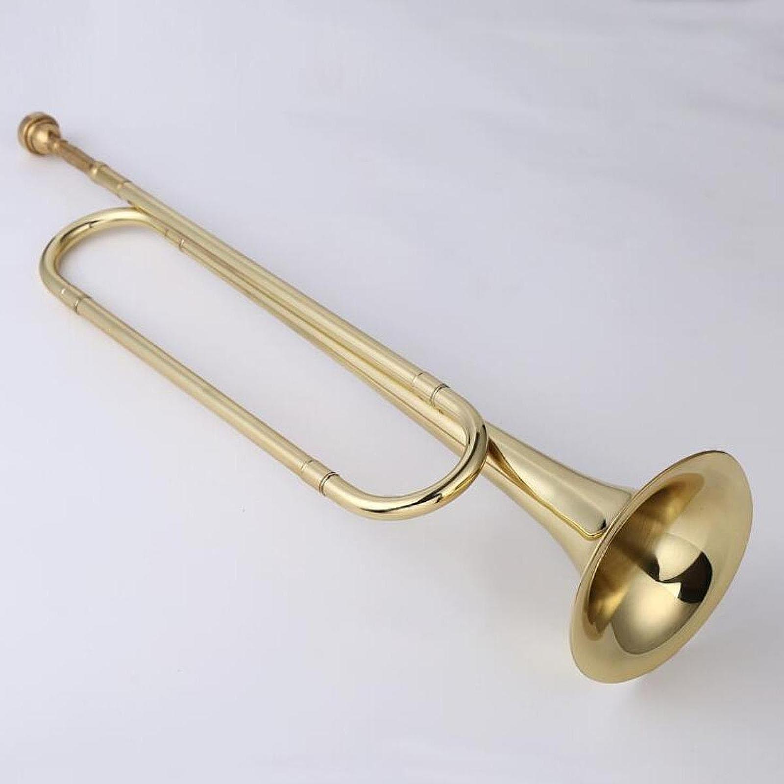 B 플랫 버글, 영 팀 버글, 클래식 전문 휴대용 악기 - Musical Instrument Bugle 리뷰 및 가격