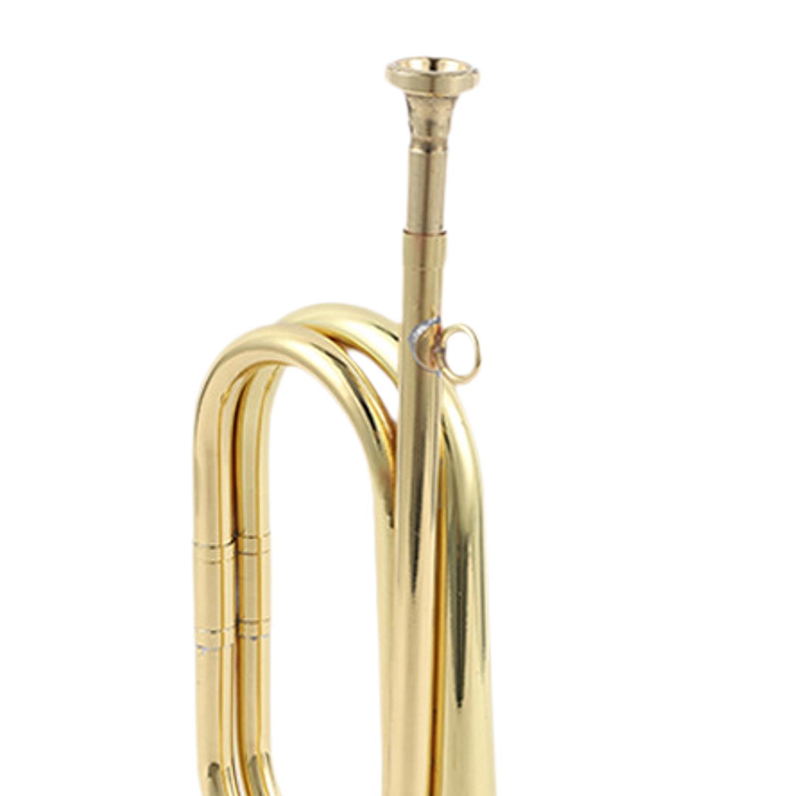 트럼펫 스카우트 나팔 악기 서양 관악기 초보자를 위한  - Musical Instrument Bugle 리뷰 및 가격